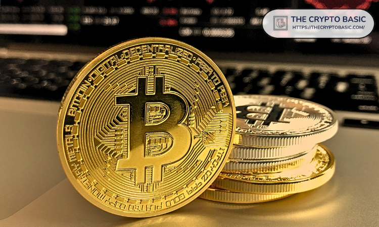 美国将在几周内开始实施比特币储备计划:比特币杂志首席执行官